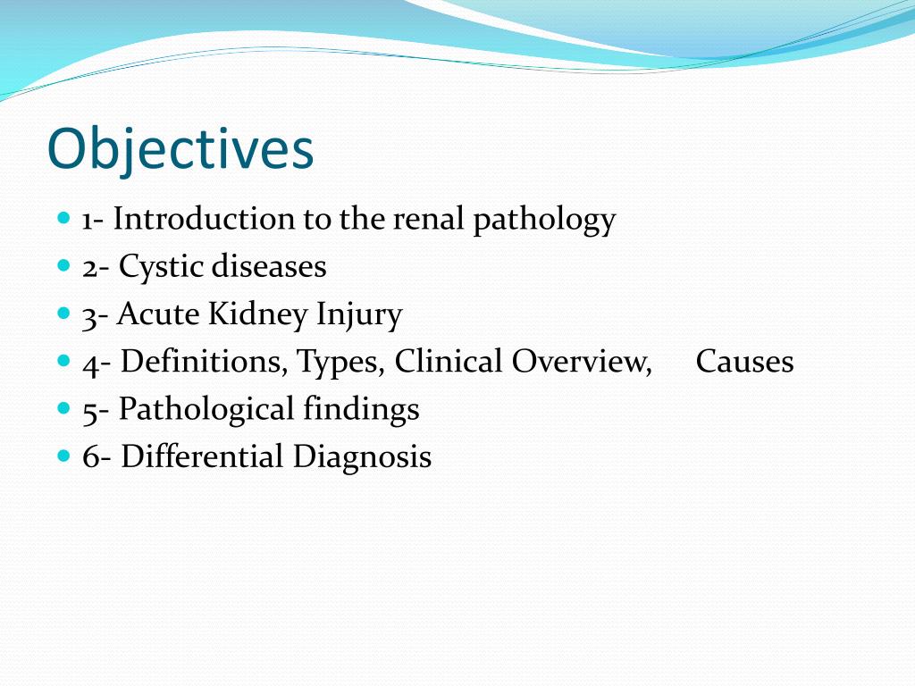 PPT - Pathology of Kidney and the Urinary tract PowerPoint Presentation ...