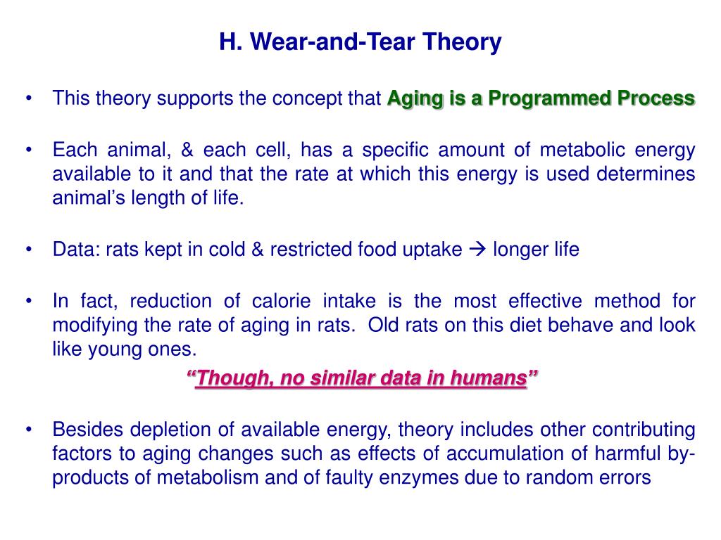 wear and tear theory of aging