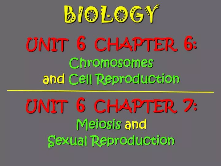 biology n.