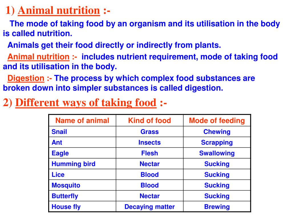 PPT - CHAPTER - 2 NUTRITION IN ANIMALS PowerPoint Presentation, free  download - ID:6101101