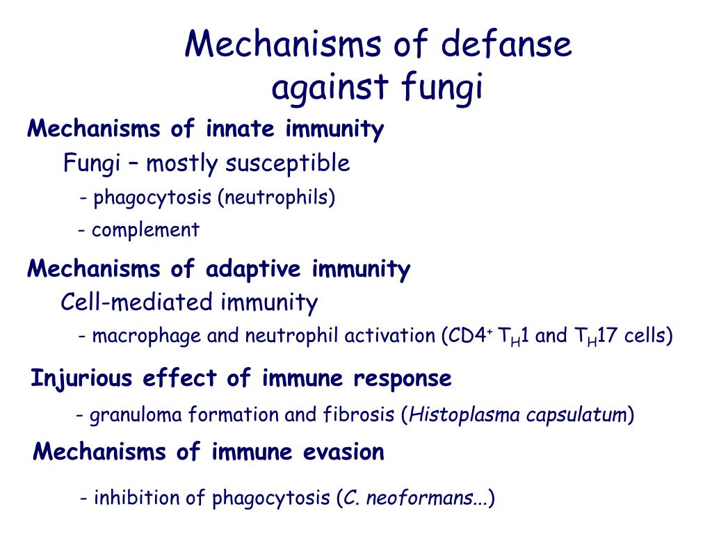 PPT - Immunity to microbes (mechanisms of defense against viral ...
