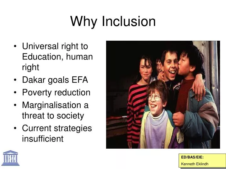 why inclusion n.