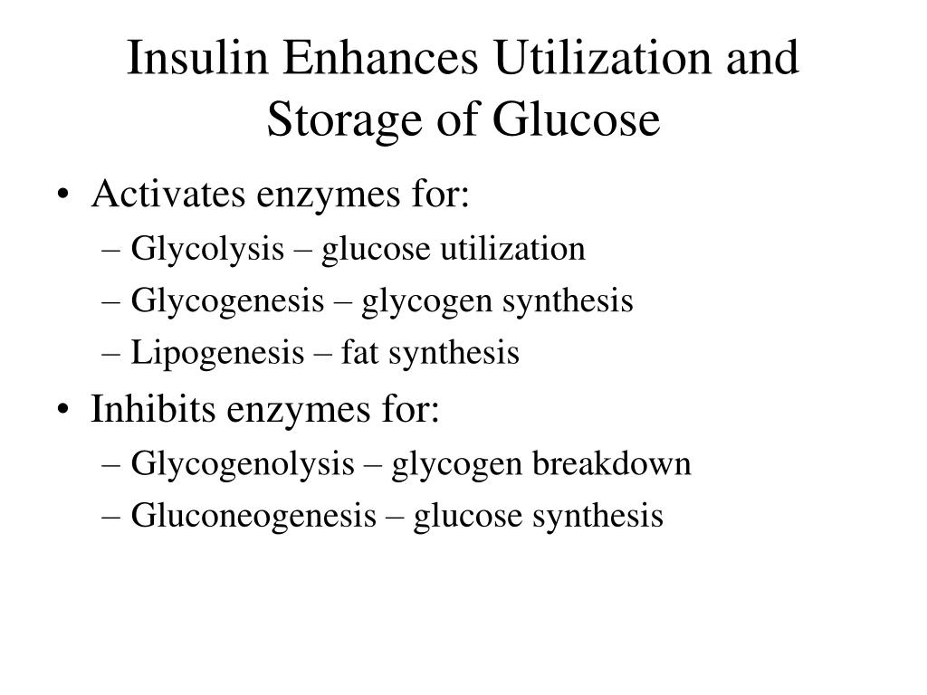 PPT - Homeostatic Control of Metabolism PowerPoint Presentation, free ...