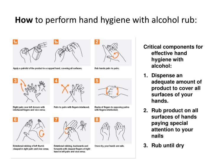 PPT - Hand Hygiene Measurement on the 5 Moment Education for Observers ...