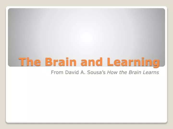PPT The Brain And Learning PowerPoint Presentation Free Download Ppt the brain and learning powerpoint presentation free download