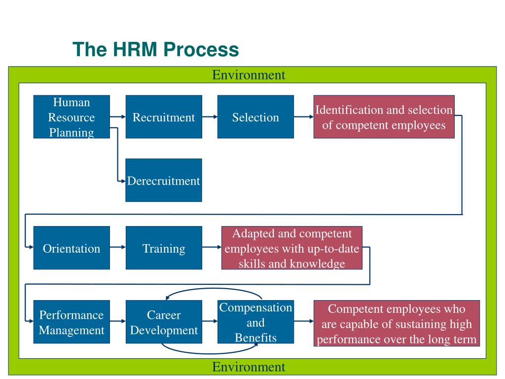 PPT - Human Resources Management PowerPoint Presentation, free download ...