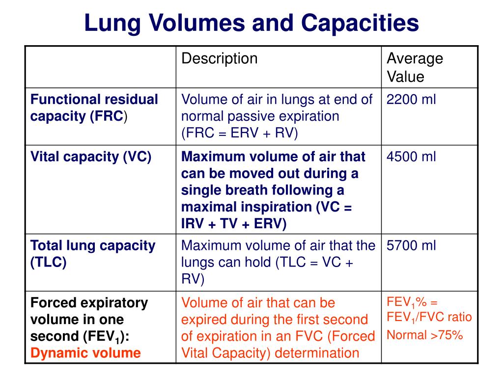 Pulmonary Volumes And Capacities Chart