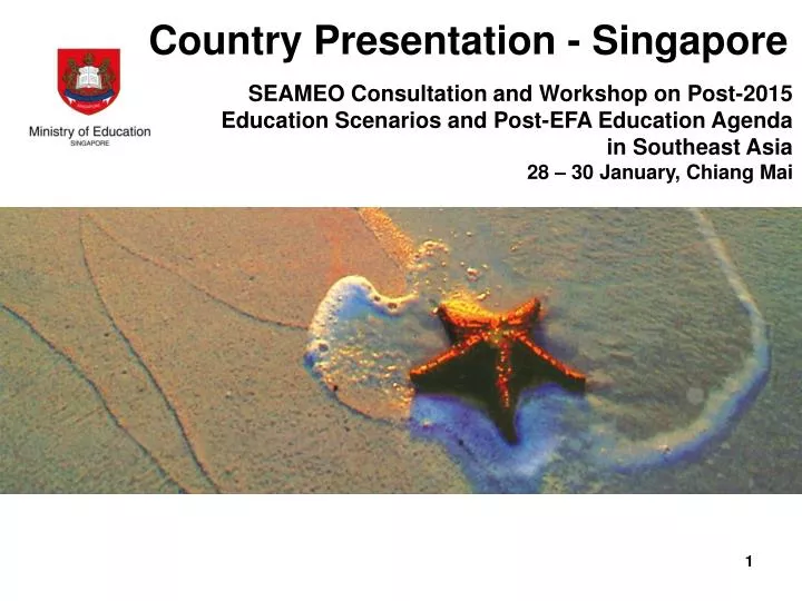 country presentation singapore n.
