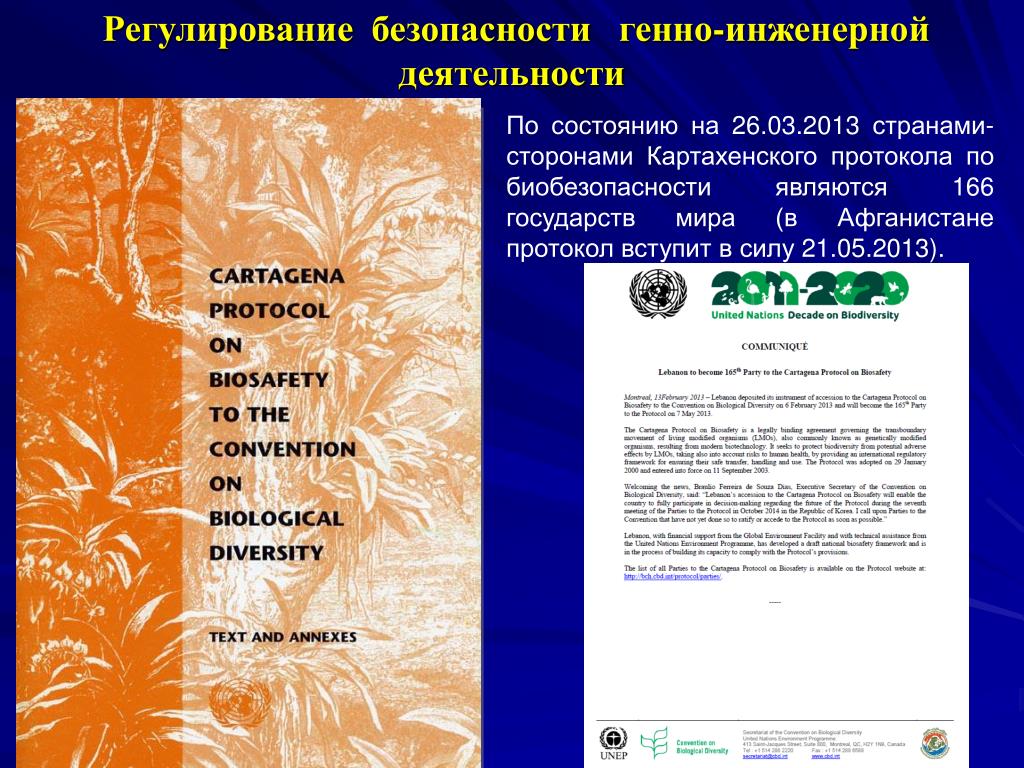 Протокол оон. Картахенский протокол по биобезопасности 2000. Картагинский протокол. Картахенский протокол по биоразнообразие. Конвенция о биоразнообразии.
