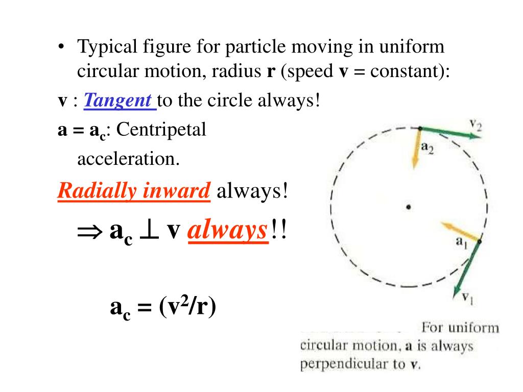 circular motion circular motion