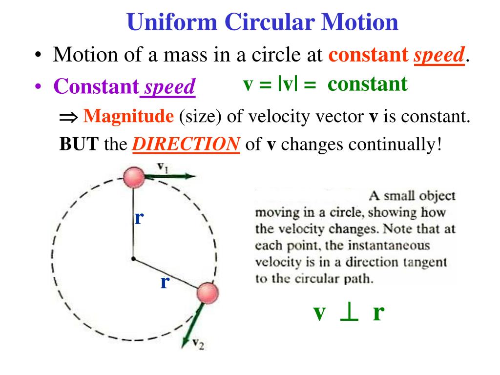 Uniform Circular Motion Worksheet