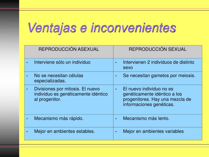PPT - TEMA 10: LA REPRODUCCIÓN EN LOS ANIMALES PowerPoint Presentation