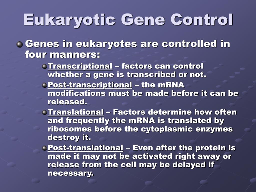 PPT - Control Mechanisms for Gene Expression PowerPoint Presentation ...