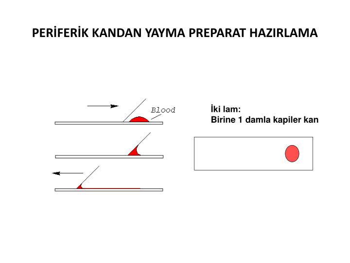 İlginç bir işaret: sağ koltuk değneği için kaşıntı nedir İlginç bir işaret: sağ koltuk değneği için kaşıntı nedir
