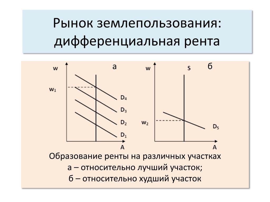Дифференциальная Рента Это