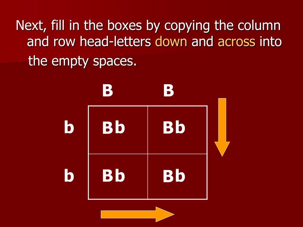 PPT - Genetics Using Punnett Squares PowerPoint ...