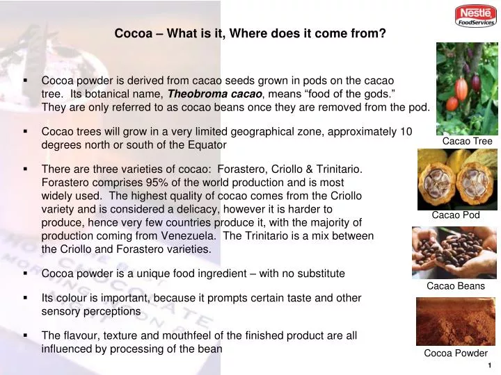 PPT Cocoa What is it, Where does it come from? PowerPoint