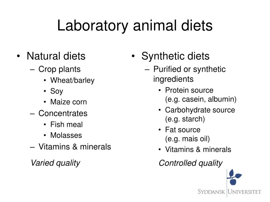 PPT - Nutrition of Laboratory Animals PowerPoint Presentation, free  download - ID:6114517