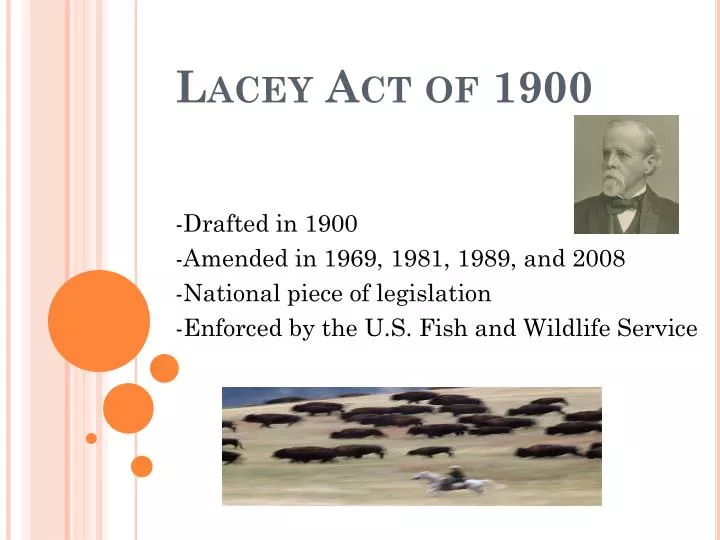 PPT - Lacey Act of 1900 PowerPoint Presentation, free download - ID:6114819