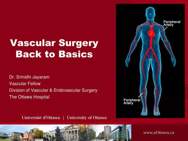 vascular surgery back to basics n.