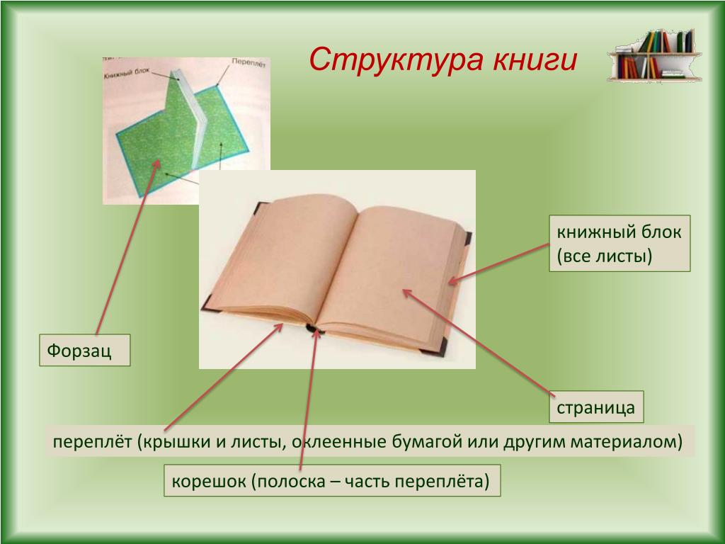 Презентация сколько страниц. Структура книги. Книга структура книги. Название частей книги. Строение книжки.