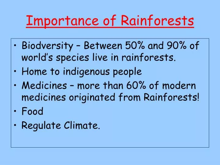 essay about importance of rain forest