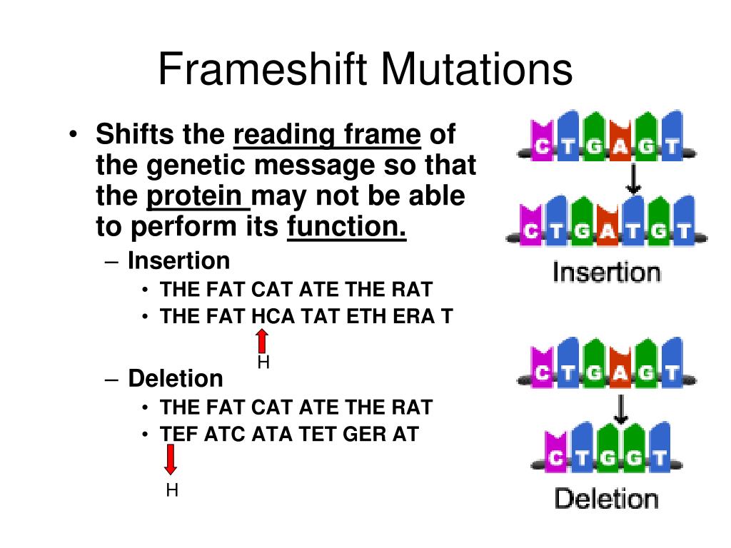 PPT MUTATIONS PowerPoint Presentation, free download ID6119953