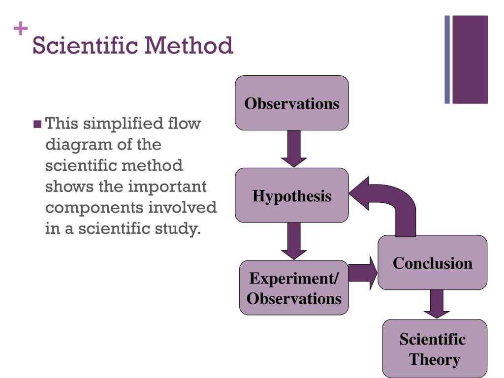 Scientific method. Scientific hypothesis картинки. Метод show. Scientific conclusion.