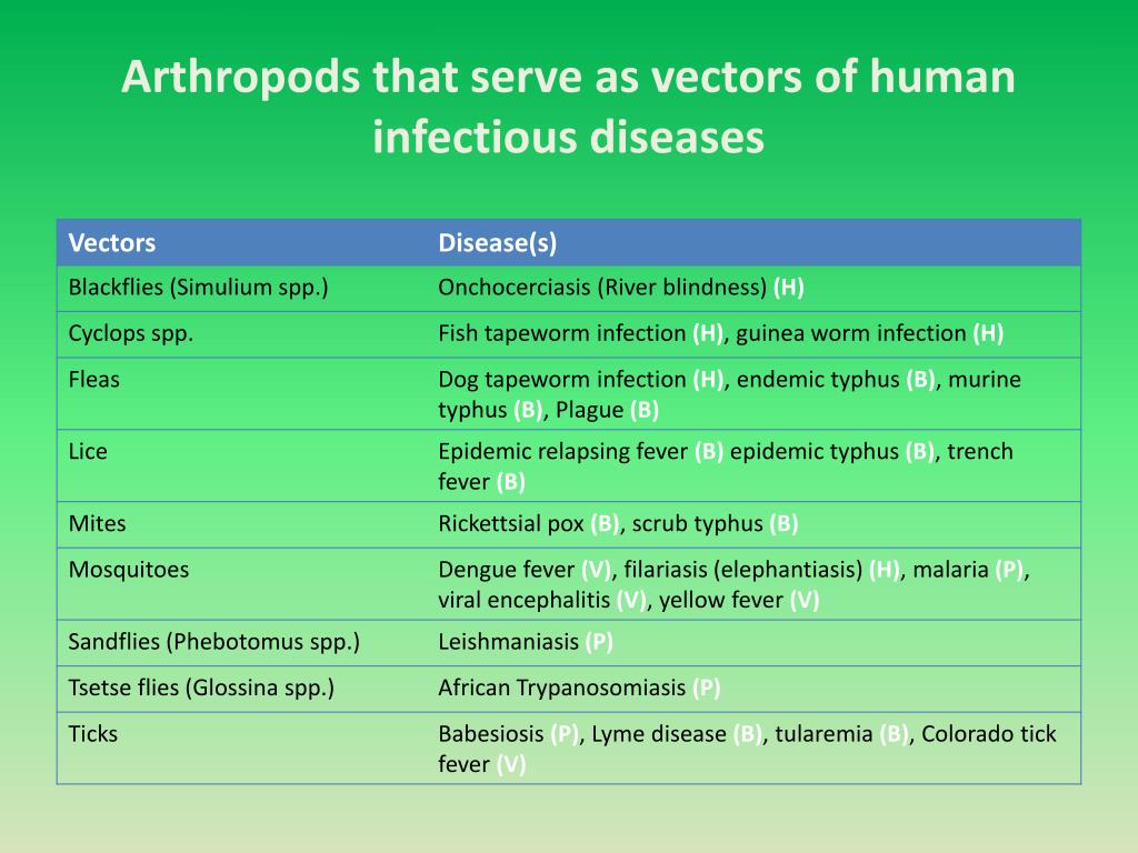 Ppt Introduction To Parasites Powerpoint Presentation Free Download