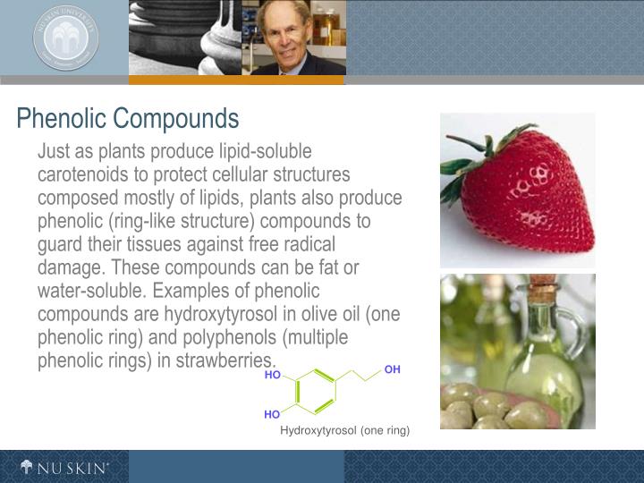 PPT Introduction to Antioxidants PowerPoint Presentation ID6120900
