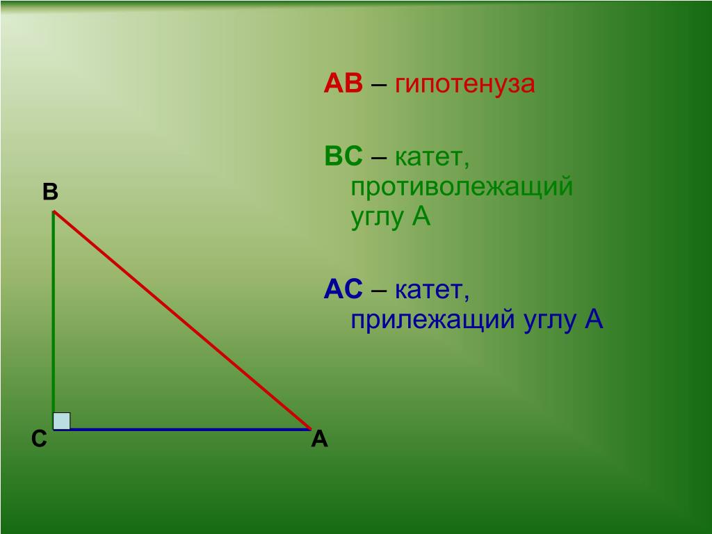 Какой угол прилежащий. Катет и гипотенуза. Противолежащий катет к гипотенузе. Гиппотенузе. Прилежащий и противолежащий угол.