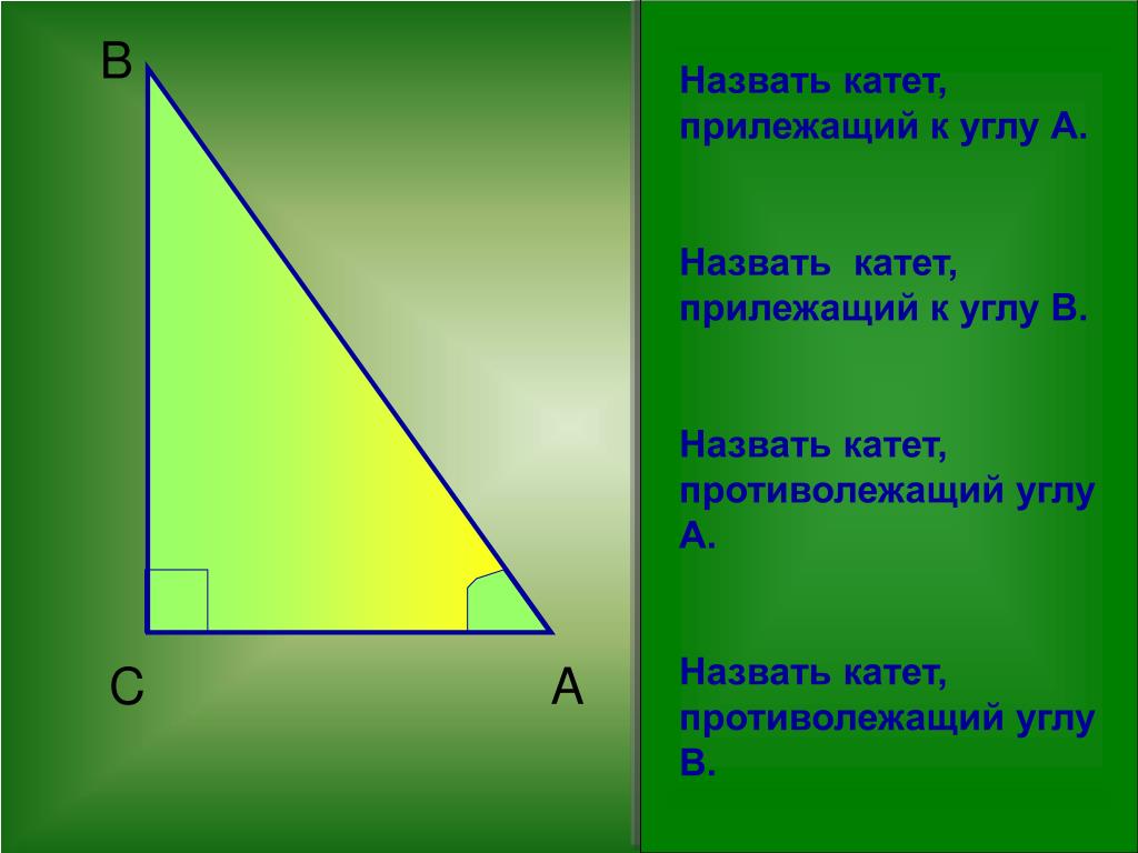 13 катет противолежащий углу. Прилежащий и противолежащий катет. Прилежащий и противо лежащий КГОД. Катет прилежащий к углу. Катет противолежащий углу.