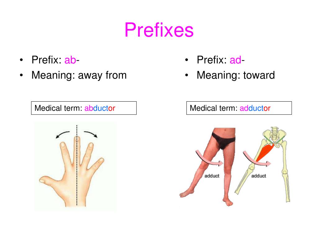 medical-terminology-medical-prefixes-medical-specialties-clinical