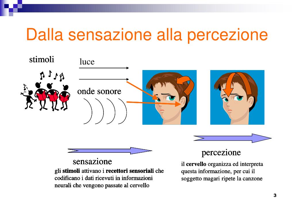 Nostri Sensi Riescono A Cogliere Tutti Gli Stimoli Presenti Nell'ambiente PPT - La percezione visiva PowerPoint Presentation, free download - ID