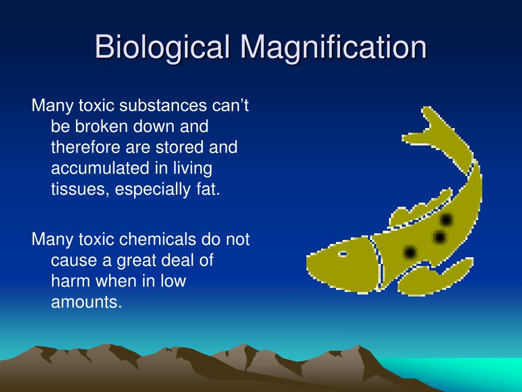 PPT Biological Magnification PowerPoint Presentation, free download