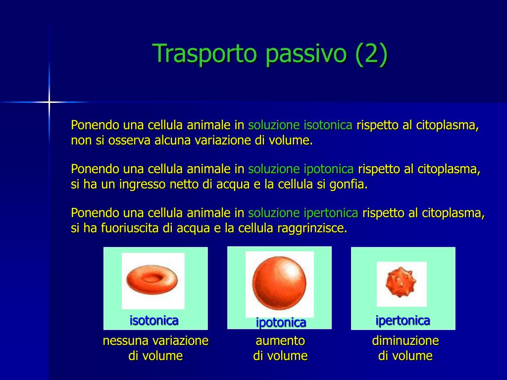 PPT - Scambio dei materiali attraverso la membrana cellulare PowerPoint