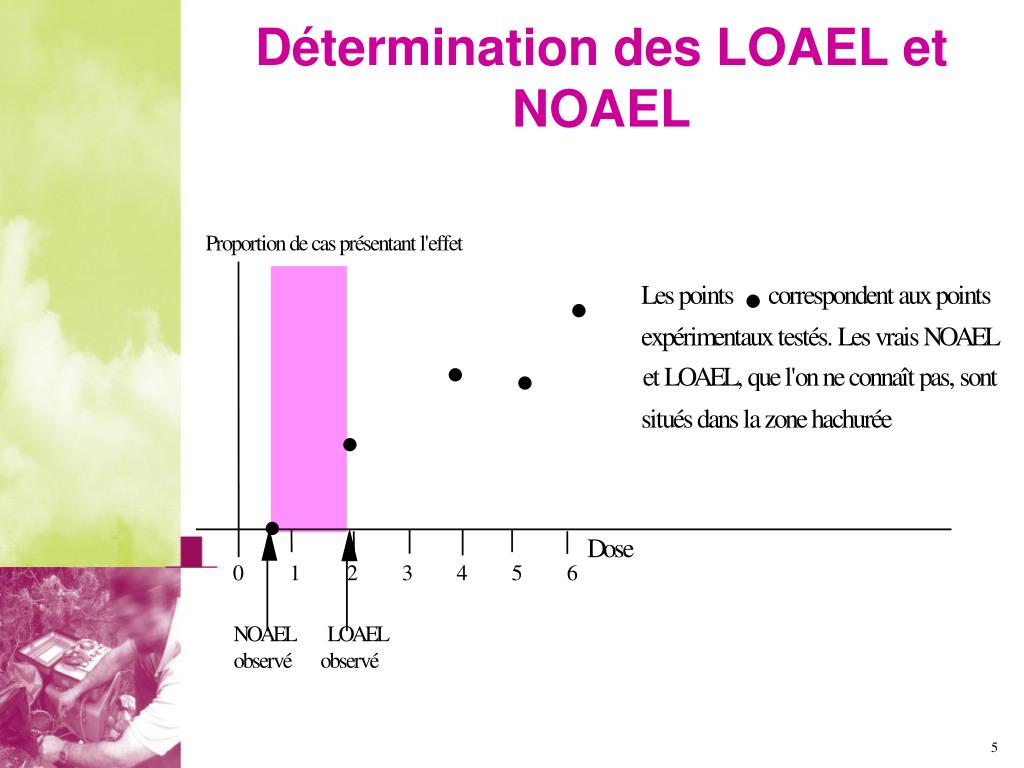 PPT - Paradigme de l’évaluation des risques (figure 2, Académie des Sciences, USA, 1983 