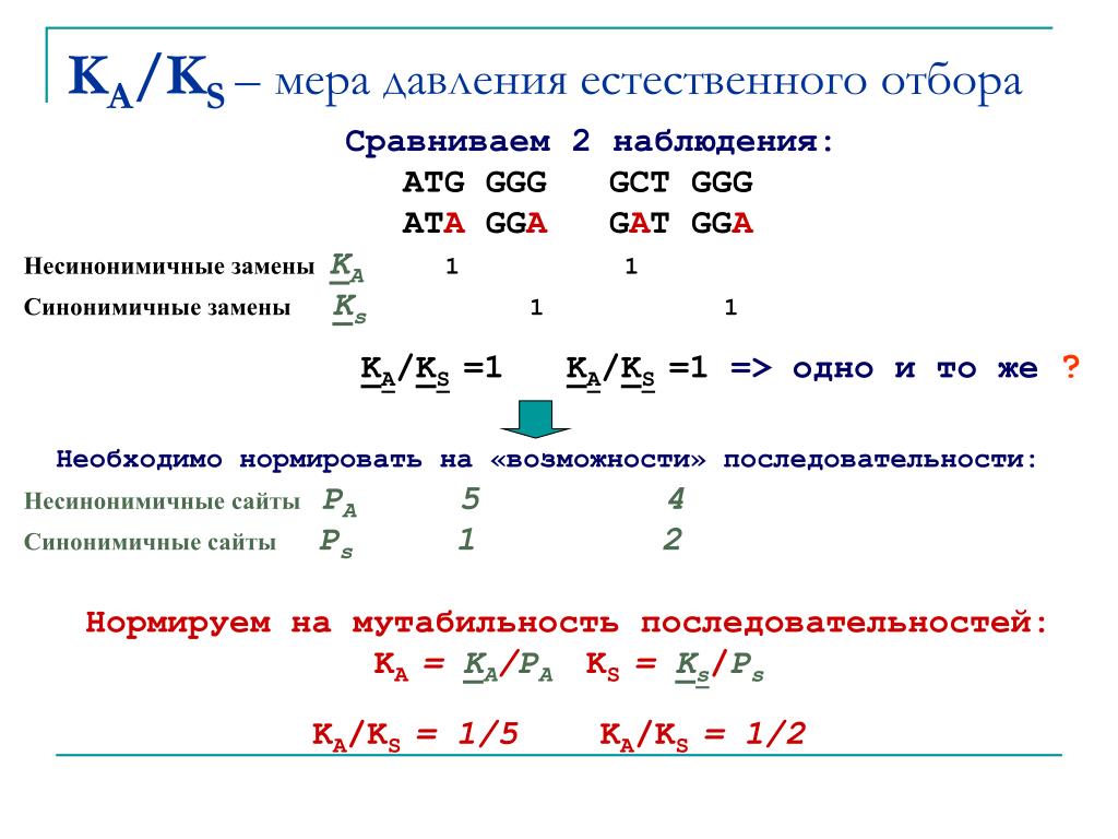 Мера давления естественного отбора. Несинонимичные замены.