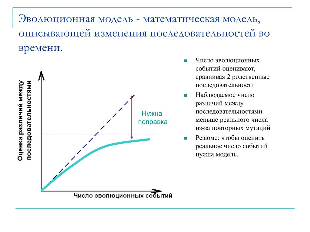 Математическое моделирование времени. Модель эволюции. Эволюционная модель. Моделирование эволюции. Методы эволюционного моделирования.
