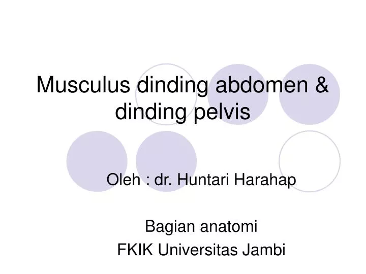 PPT - Musculus dinding abdomen & dinding pelvis PowerPoint Presentation