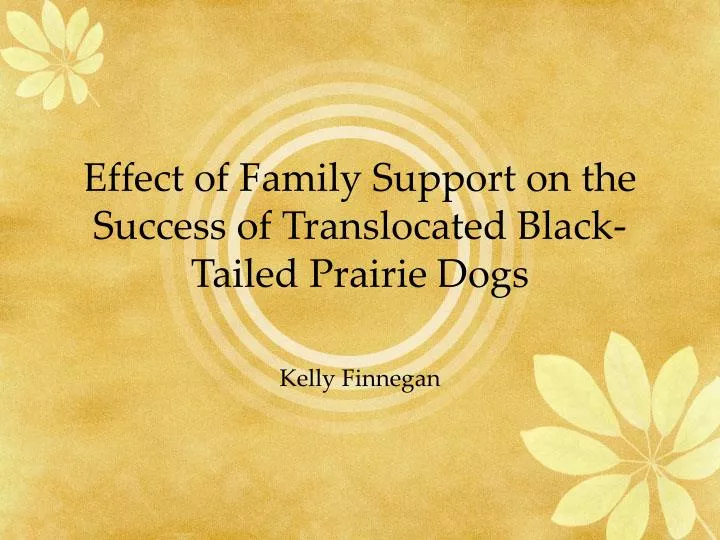 the impact of family of identity the impact of family on gender roles and identity the environment plays an integral role on the development of a child’s sense of self in which they grow up. the impact of family of identity the impact of family on gender roles and identity the environment plays an integral role on the development of a child’s sense of self in which they grow up.