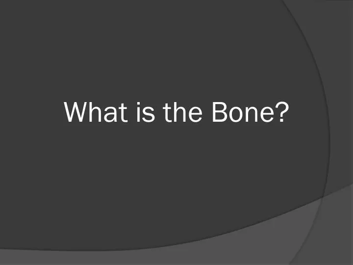 what is the bone n.