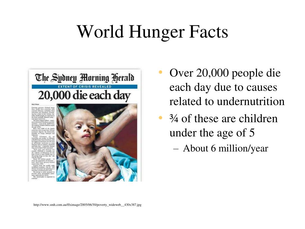 presentation on world hunger