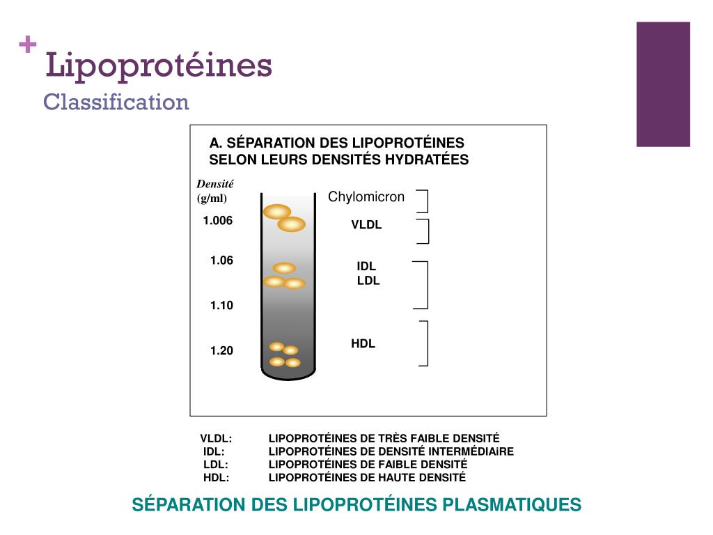 PPT - Maladies génétiques du métabolisme lipidique PowerPoint