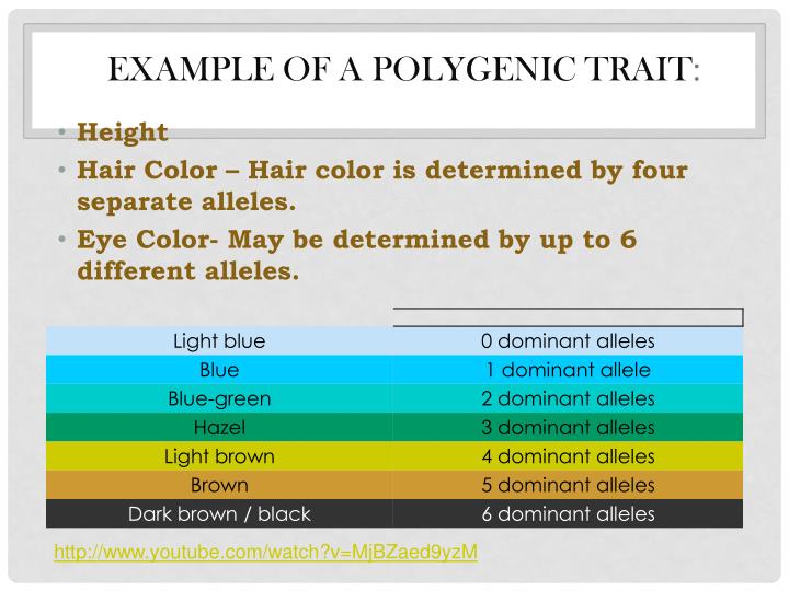 PPT - Genetics PowerPoint Presentation - ID:6127283