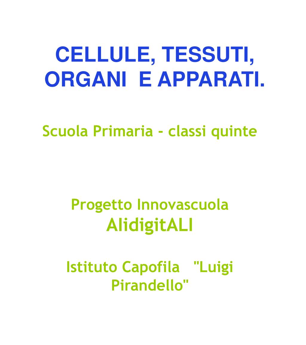 Ppt Cellule Tessuti Organi E Apparati Powerpoint Presentation Free Download Id