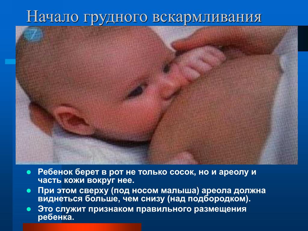 Почему новорожденный не берет. Начало грудного вскармливания. Начало кормления грудью малыша.