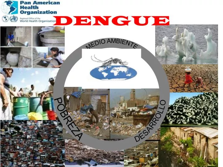 PPT DENGUE PowerPoint Presentation Free Download ID 6128860 dengue-ppt