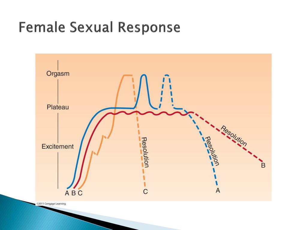 Ppt Chapter 5 Gender Issues Powerpoint Presentation Free Download 