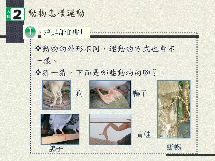Ppt 動物怎樣運動powerpoint Presentation Free Download Id Ppt 動物怎樣運動powerpoint Presentation Free Download Id